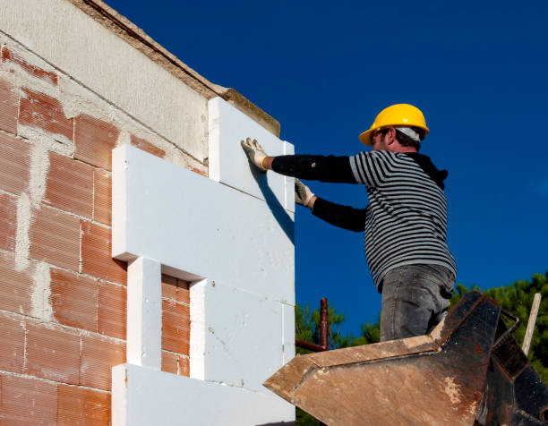 Best Insulation Maintenance and Repair in Alvin, TX