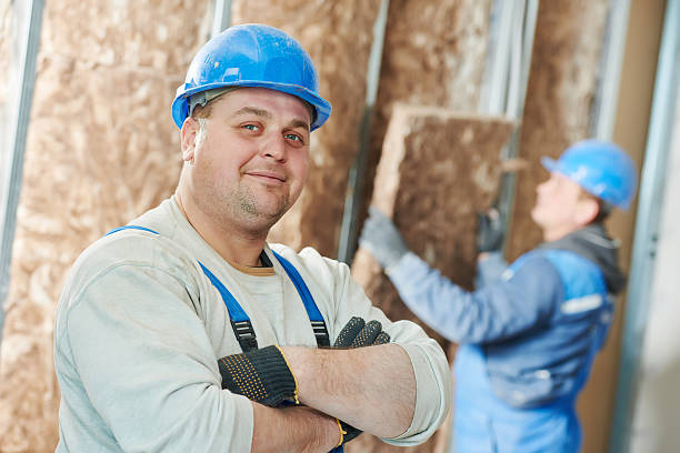 Best Cellulose Insulation in Alvin, TX